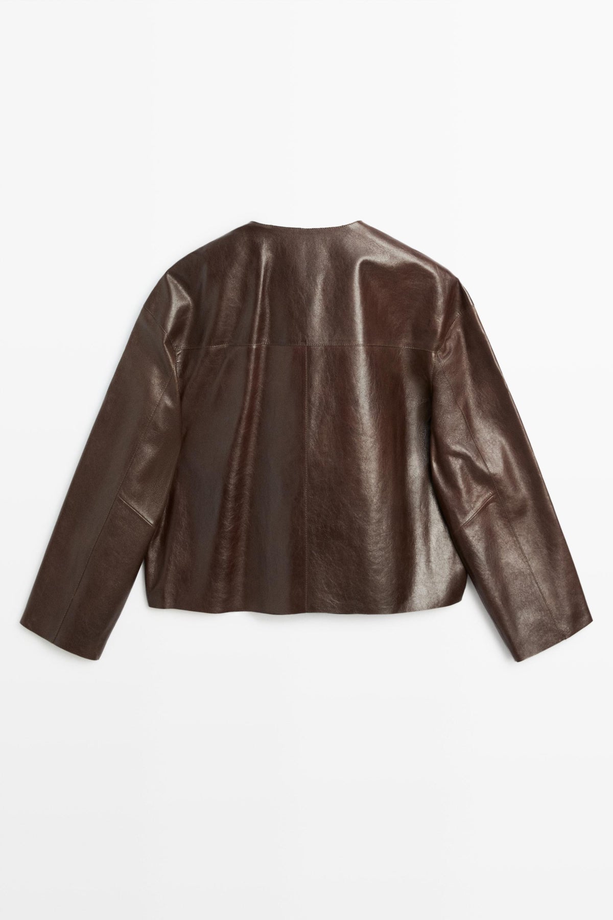 A dark brown leather cropped jacket with long sleeves, shown from the back against a plain white background.
